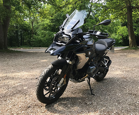 A GS captured in its natural habitat